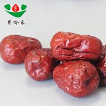 New crop high quality fruit dates