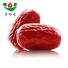 Hot sale high quality dates fruits