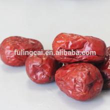 Hot sale high qualityred date fruit