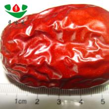 Hot sale high quality dried dates fruit
