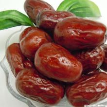 Hot sale high quality fresh red dates from China