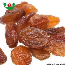 High quality new crop dry fruits grapes
