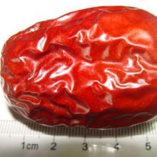 Hot sale high quality date dry fruit