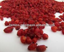 Barberry