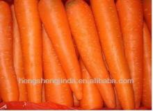 2013 New Crop Fresh carrots