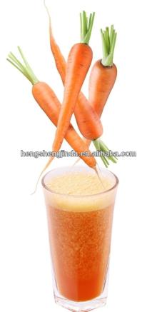 2013 fresh carrot from china