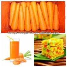 green vegetable fresh Carrot