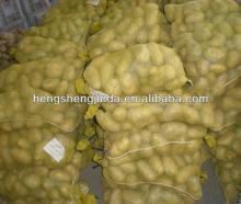  2013   fresh   potato 