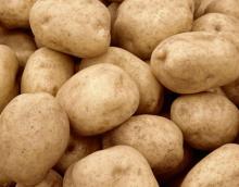 best price fresh potato