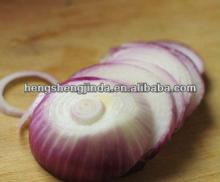 wholesale fresh onion in bulk