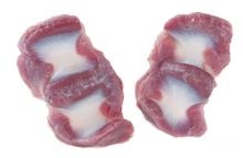 Frozen Chicken Gizzard