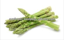 Good Quality Seasoned Brine Canned Asparagus for Sale