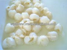High Quality Syrup Common Canned Lichee for Sale