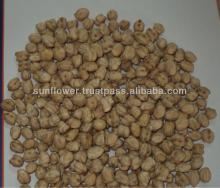 Chickpeas,Garbanzo,Channa white