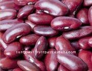 Red Kidney Beans - Long shape British