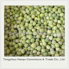 new crop high quality frozen green peas/chinese peas
