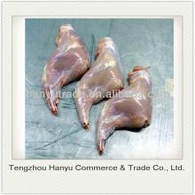 frozen halal rabbit hind leg