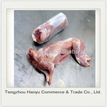 halal whole frozen rabbit meat
