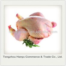 Chinese origin quality frozen whole halal chicken