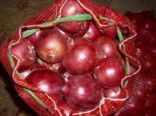  Bulk  Fresh onions