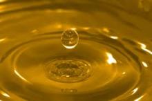 Sunflower  oil  in  bulk  from Ukraine