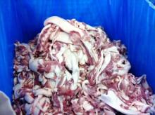 75% Frozen Pork Trimmings from Canada
