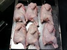 Best quality Brazil whole frozen chicken (COMPETITIVE PRICE)