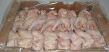 Best quality frozen whole chicken for sale (COMPETITIVE PRICE)