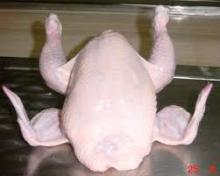 Best quality Halal whole frozen chicken (COMPETITIVE PRICE)