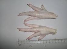 Best quality chicken paws (COMPETITIVE PRICE)