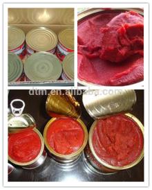 Pasty Form and Sauce Product Type canned tomato paste high concentration 36-38 28-30 cold break