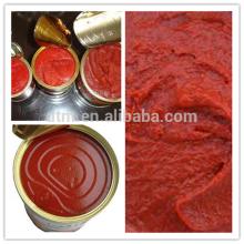 Sauce Product Type canned  tomato   paste  OEM for West  Africa  sample free