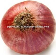 Fresh Red Onions