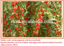 2014 new crop organic dried goji berries