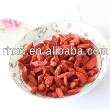 China organic Ningxia dried goji berry price