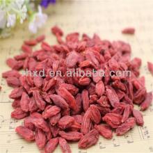 Organic dried wolfberry China goji berry