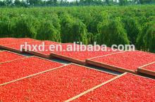 2014 new crop ningxia sun dried goji berries