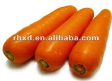 fresh carrot with size 80-350g