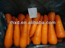 specifications of fresh carrots