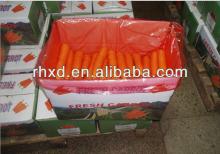 Import fresh carrots(S,M,L,2L,3L)