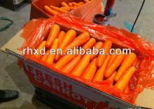 Red skin fresh carrot cheapest price hot sale