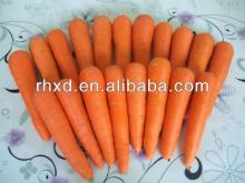China carrot fresh vegetables(S.M.L.2L.3L)