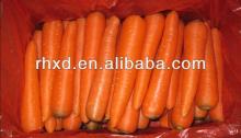 2014 new crop fresh white carrots
