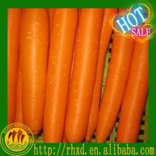 2014 new chinese carrot farm fresh