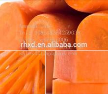 fresh carrot manufacturer farm factory