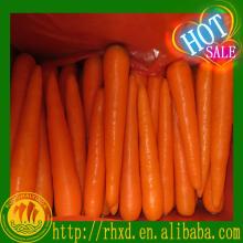 2014 fresh carrot red skin fresh carrot