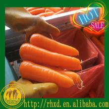 chinese freezing fresh carrots