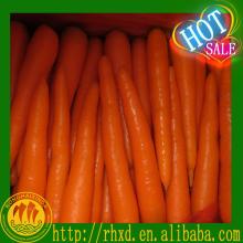 2014 new crop China bulk  farm   fresh   carrot 