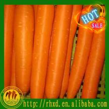 2014 fresh carrot for sale specifications of fresh carrots