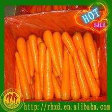 2014 chinese vacuum pack fresh carrots fresh vegetables